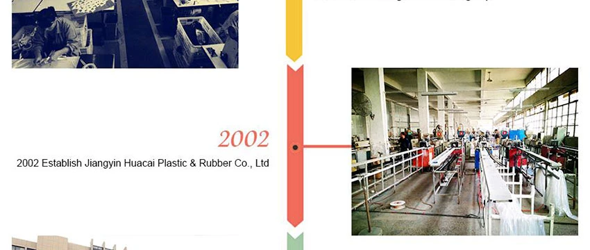 Development History Of Huacai Group Development History Of Huacai Group